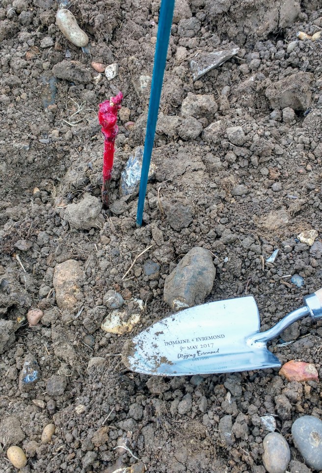 IMG_20170503_133436283_HDR